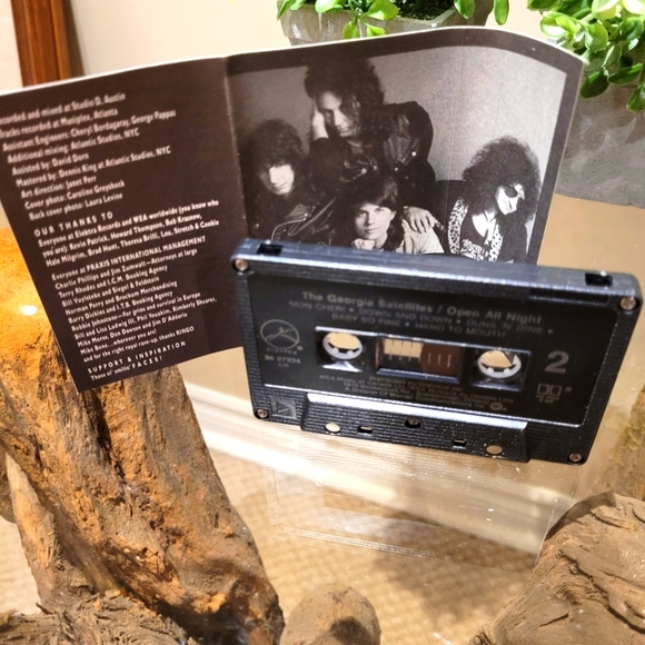 Georgia Satellites cassette - Picture 3 of 4